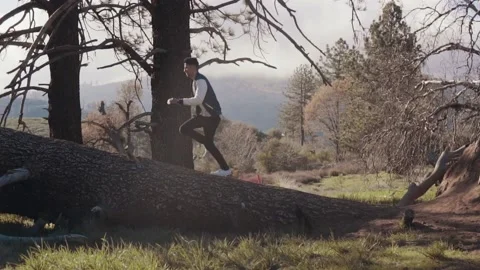 Man running slow motion in nature fallen tree during sunset cinematic inspir Stock Footage 151350964