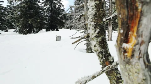 Man running on snow in winter Stock Footage 59182445