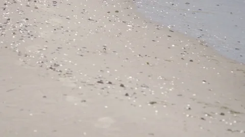 Man Running at Sunrise on the Beach Stock Footage 83454474