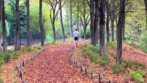 Man running in the Suzanne Lenglen park on an autumn day Vidéo 337881194