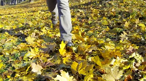 Man running through fallen yellow leaves on an autumn day Stock Footage 56776003