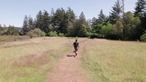 Man running through field with happy dog, outdoor activity, dog walk, throwing Stock Footage 250194194