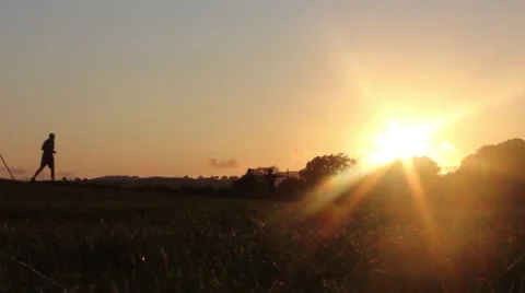 Man running through a field on a summers evening Stock Footage 40954384