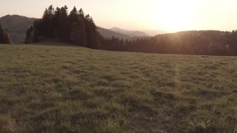 Man running through the grass area. POV shot. Raw video. Stock Footage 77227860