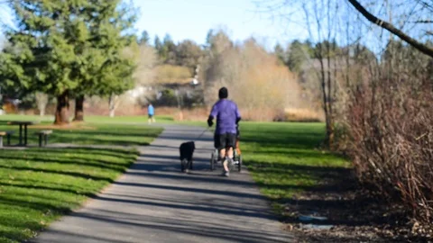 Man running through park  stroller and dog Stock Footage 101216167