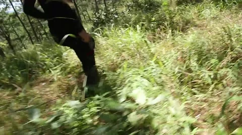 Man running through the woods Stock Footage 55811043