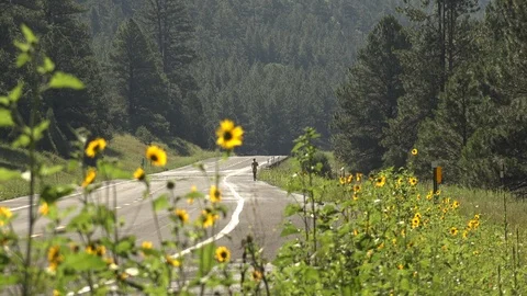 Man Running Toward Camera Along a Sunny Northern Arizona Highway Stock Footage 88893475
