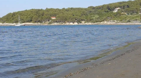 Man Running Towards the Camera Slow Motion Stock Footage 54915391