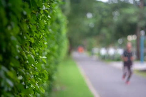 A man running in the tree park Stock Photos
