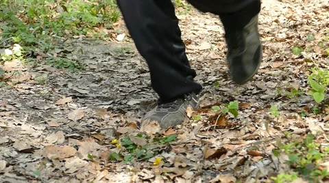 Man Running Walking In Forest Woods 18 Stock Footage 50091719