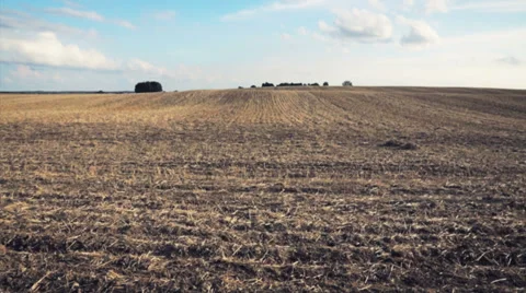 Man running at wheat field Stock Footage 29702818