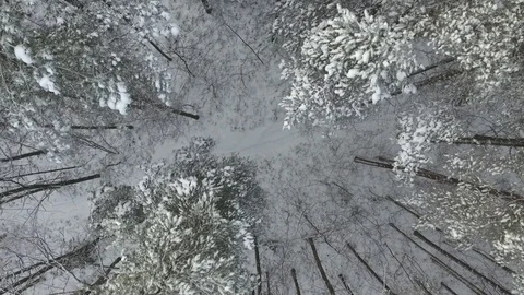 Man running in the winter forest, 4K aerial Stock-Footage 72952215