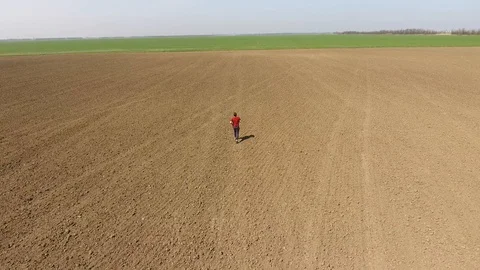 A man runs across the field. Jogging in the open field. Stock Footage 112729890