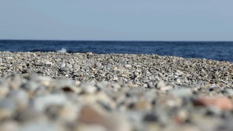 Man runs along the coast Stock Footage 101971516