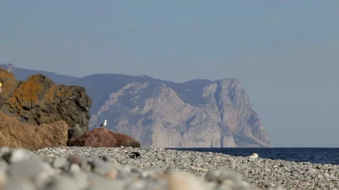 Man runs along the coast Stock Footage 101972115