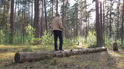 A man runs along a log in the forest slow motion. Man runs down a tree Stock Footage 108188624