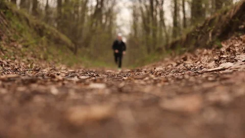 A man runs along a path in the woods Stock Footage 129137359