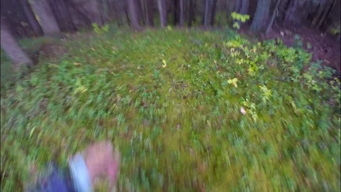 A man runs away from the danger in the forest. Goes down to the stream. Stock Footage 83552210