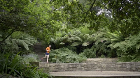 Man Runs Down And Then Up A Set Of Stairs In A Picturesque Park, Shot In 4K Stock Footage 50012283