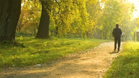 Man runs on footpath at dawn Stock Footage 81534562