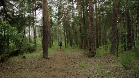 Man runs in the forest Stock Footage 69728982