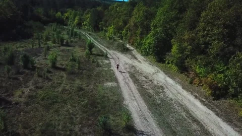 A man runs to the green forest Stock Footage 169872505