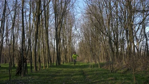 Man runs in the middle of the woods. Video stock 155201025