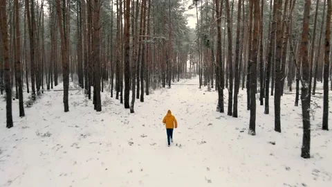 A man runs in a snowy pine forest with his back to the camera Stock Footage 169014378
