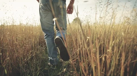 Man runs through field with hight grass, summer, graded Stock Footage 57387833