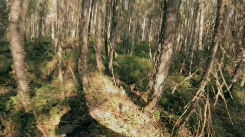 A man runs through the forest with all his might, fleeing from danger. Stock Footage 159440997