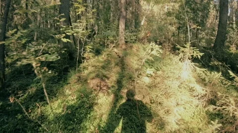 A man runs through the forest with all his might, fleeing from danger. Stock Footage 159441142