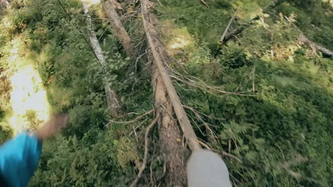 A man runs through the forest with all his might, fleeing from danger. Stock Footage 159441281