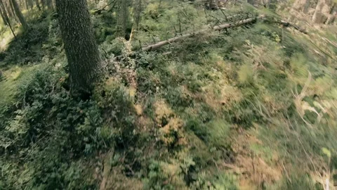 A man runs through the forest with all his might, fleeing from danger. Stock Footage 159496252