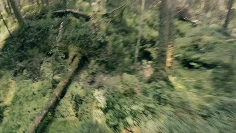 A man runs through the forest with all his might, fleeing from danger. Stock Footage 159496331
