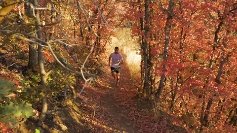 Man Runs Through A Forest Trail Toward Camera Stock Footage 78988792