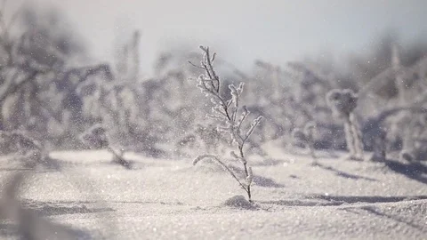 A man runs through the snow Stock Footage 71582937