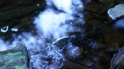 Man runs through stream 스톡 동영상 37799986