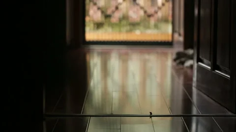 A man rush into a room Stock Footage 55710165