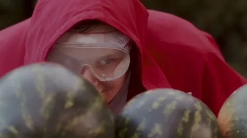Man with safety goggles preparing to slice some watermelons in his garden Vídeo Stock 258315746
