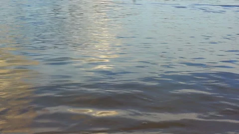 Man sails past the camera. Man swims in the lake. Stock Footage 98004037
