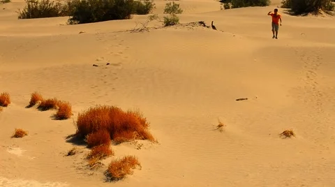 Man in a sand valley Video stock 43165560