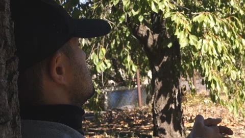 The man sat down and leaned against the trunk of a walnut tree. Stock Footage 209264603