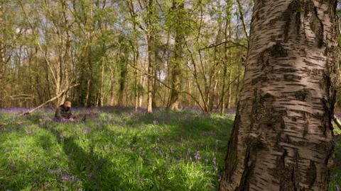 A man sat down in glorious bluebell filled woodland making a hot drink Vídeo Stock 255015199