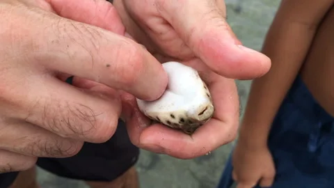 A Man  saves a fish Stock Footage 132618271