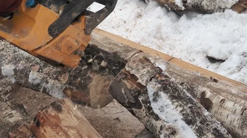 A man is sawing birch logs with a chainsaw. Preparing firewood for the winter Stock Footage 263330311