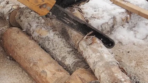 A man is sawing birch logs with a chainsaw. Preparing firewood for the winter Stock Footage 263330314