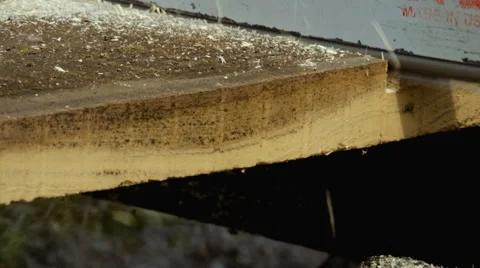 Man sawing a board Stock Footage 63168418