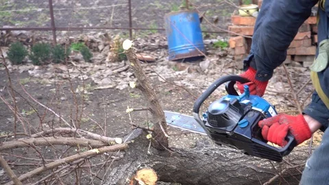 Man sawing a chainsaw tree 4k Stock Footage 105056443