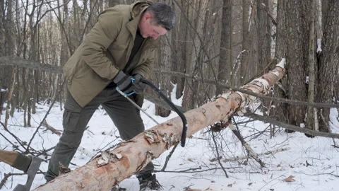 Man Sawing a Fallen Tree in Winter Forest Stock Footage 303484079
