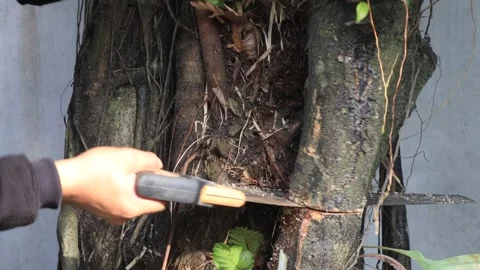 A man sawing Video stock 325561683